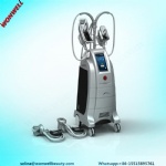 New Design 4 handles cryolipolysis,hot cryolipolysis cool body sculpting machine,two handle